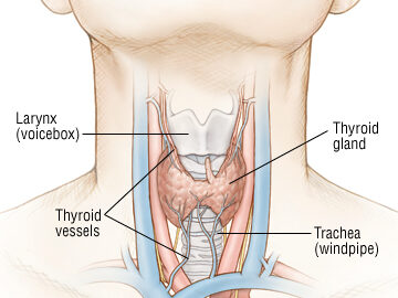Hypothyroidism