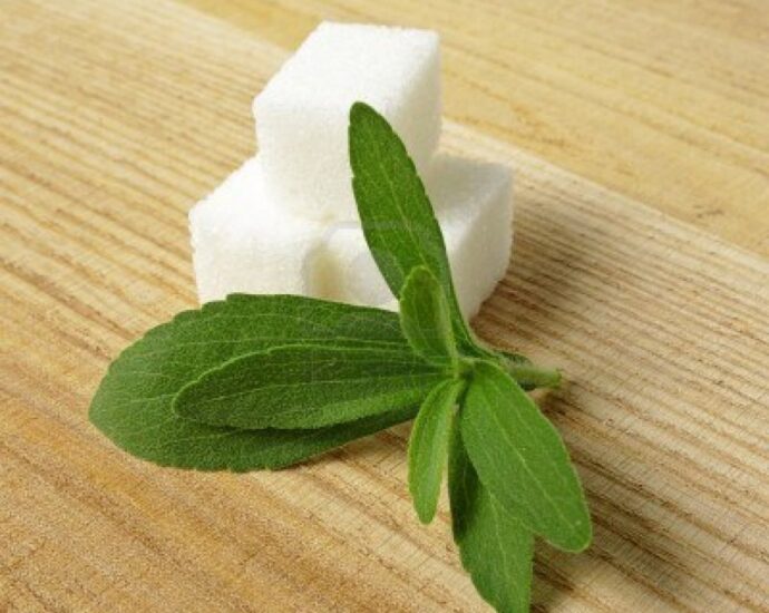 Stevia - Natural Sweetner 300 times sweeter than sugar