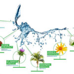 Top 6 Herbs To Get Rid of Hemorrhoids