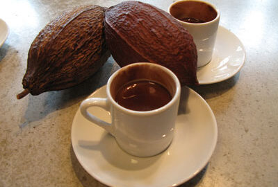Cocoa or Chocolate Rich Diet May Improve Memory
