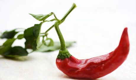 3 Food Types to Boost Your Metabolism to Lose Weight