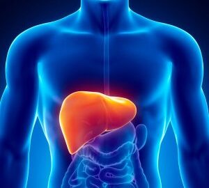 Causes and Symptoms of Liver Working too Hard