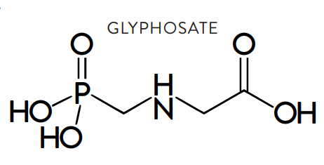molecular chain of glyphosate