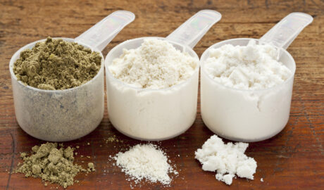 vegan protein supplements