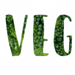 Vegan, Slogan, Motivational, Go Vegan