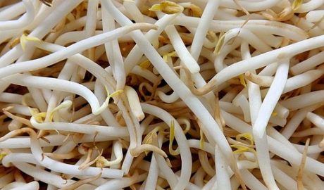 Mung Beans, Soybeans, Sprout, Food