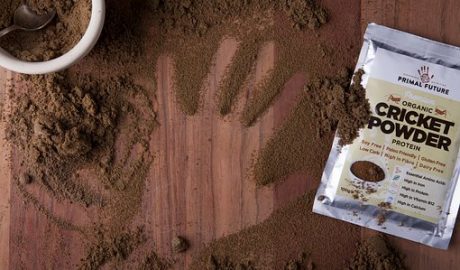 Primal Future, Cricket Powder