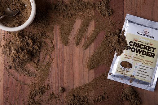 Primal Future, Cricket Powder