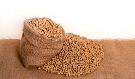 Soybeans, Plants, Seeds, Bag, Burlap