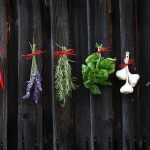 10 Herbs To Grow At Home For Cooking And Home Remedies