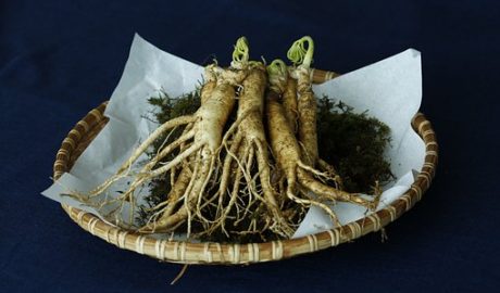 Ginseng, Medicine, Ginseng, Ginseng