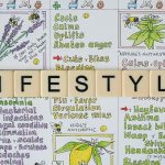 Lifestyle, Board, Vegan, Culture