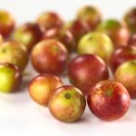 CamuCaumuFruit