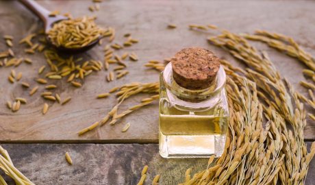 Rice Bran Solubles