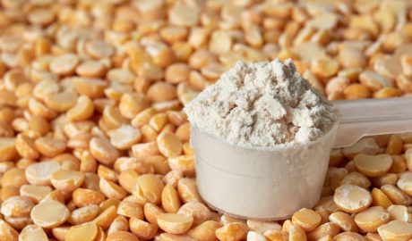 pea protein powder