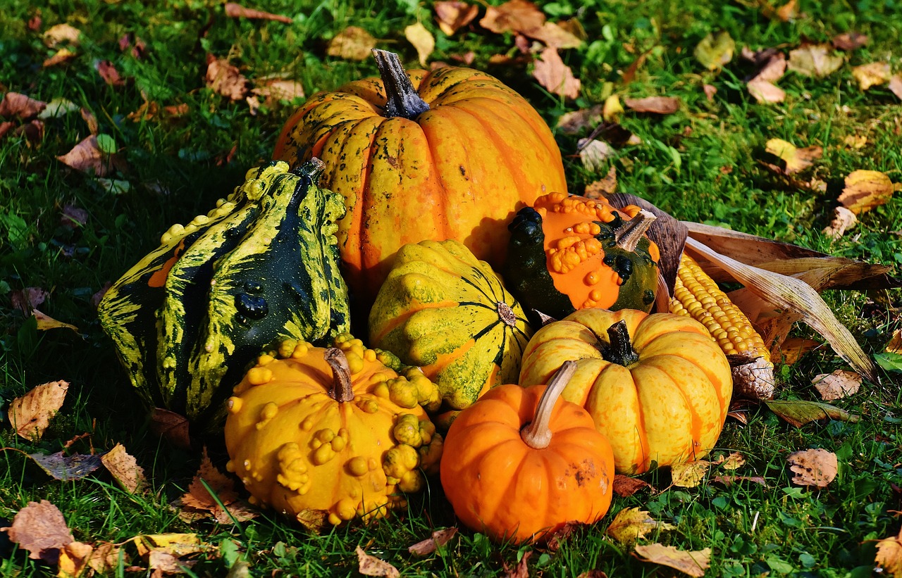 pumpkins-1712841_1280.jpg