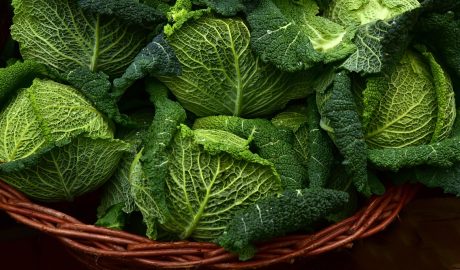 savoy-cabbage-3860933_1280.jpg