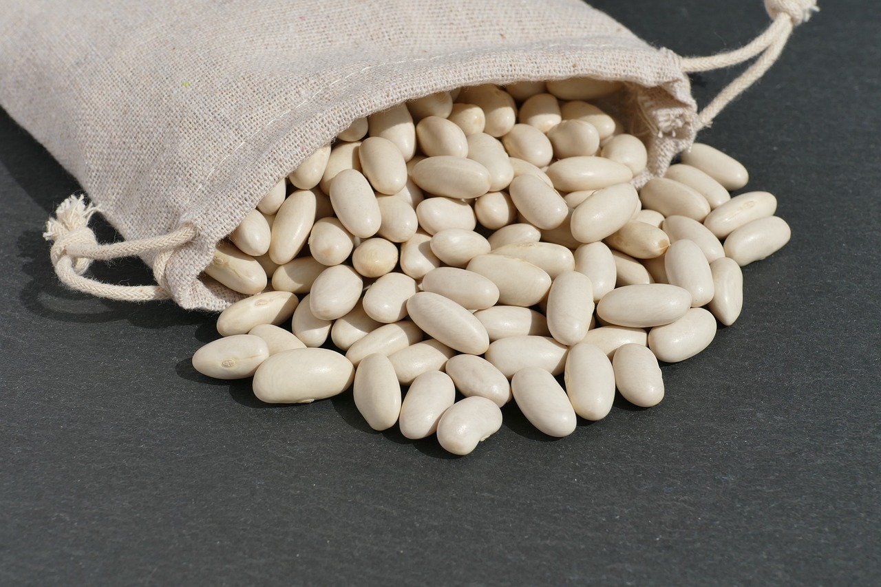white-beans-6571302_1280.jpg