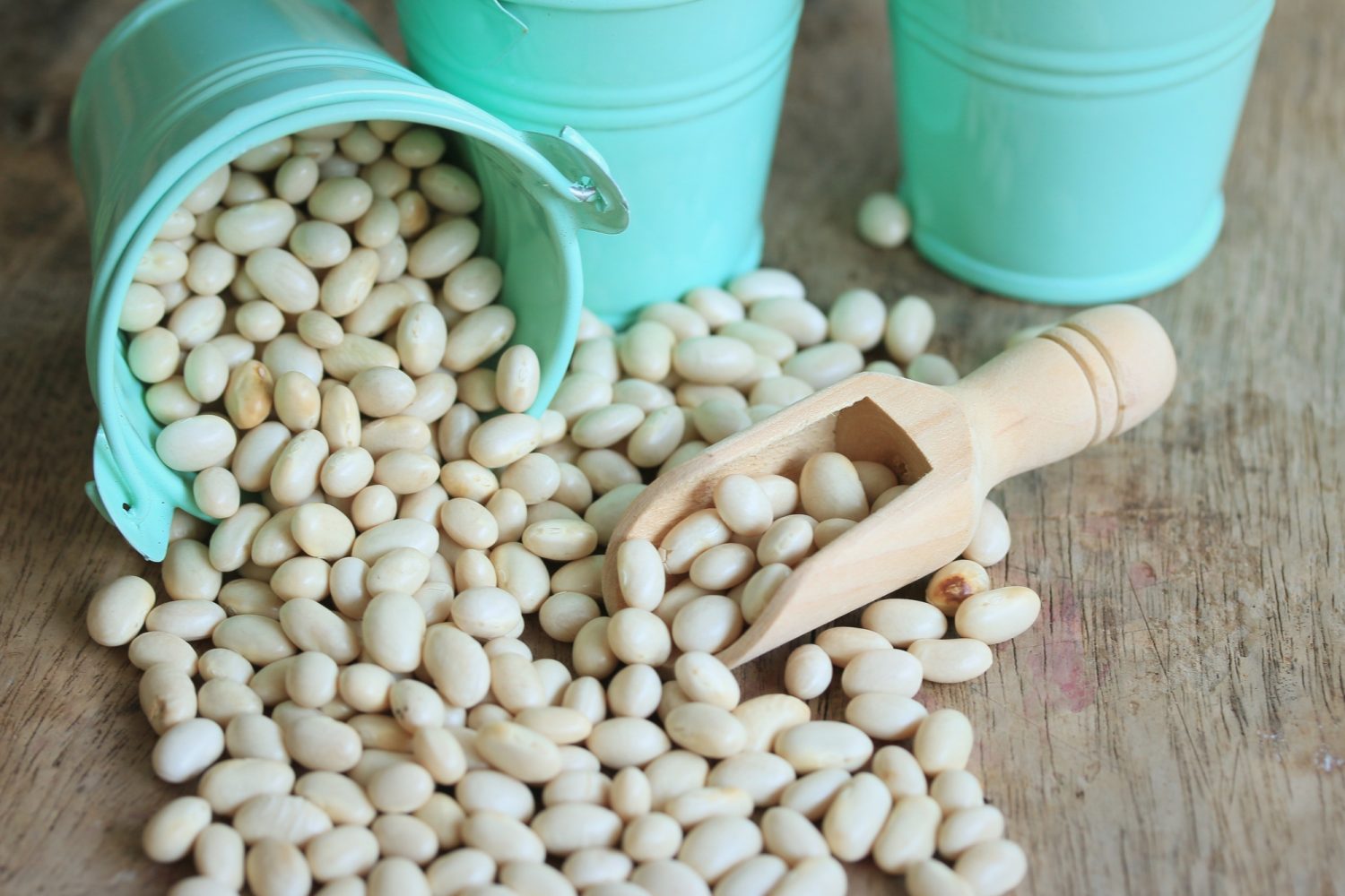 photo of white kidney beans