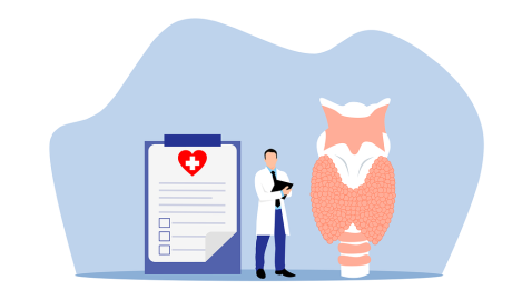 Free Endocrinologist Thyroid vector and picture
