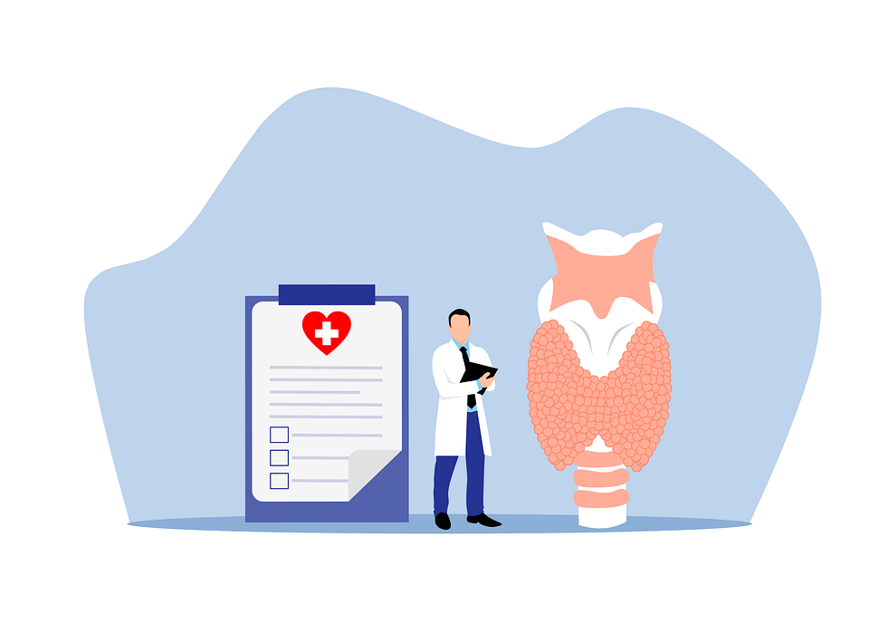 Free Endocrinologist Thyroid vector and picture