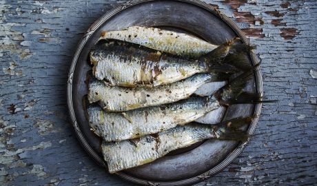 Free Sardines Fish photo and picture