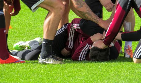 Free Sports Soccer photo and picture