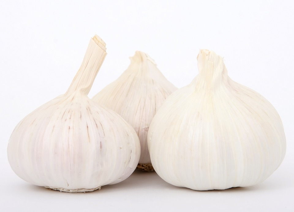 Free Garlic Cooking photo and picture