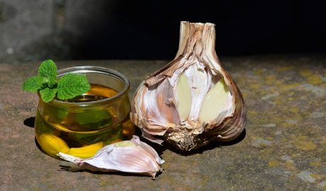 Free Garlic Leek photo and picture