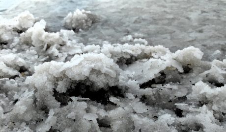 Free Salt Dead photo and picture