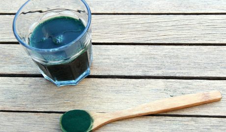 Free Spirulina Seaweed photo and picture