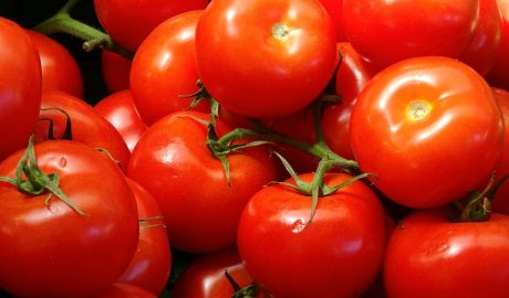 Free Tomatoes Red photo and picture