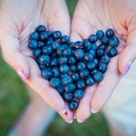 Why Are Blueberries So Healthy? blueberries