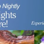 Purium Sleep Nightly